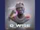 Portable O Wise