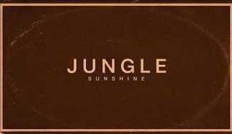 Jungle – Sunshine Album