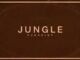 Jungle – Sunshine Album